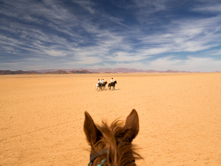 Namibia Horse Safari